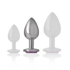 INTENSE - PLUG ANAL EN MÉTAL D'ALUMINIUM AVEC CRISTAL VIOLET TAILLE M