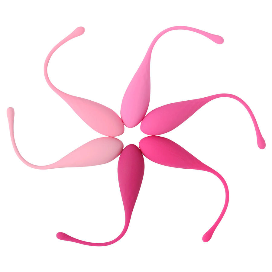 LESLIE - KIT D'EXERCICE DE MUSCLES PELVIENS KEGEL FIT 6 POIDS