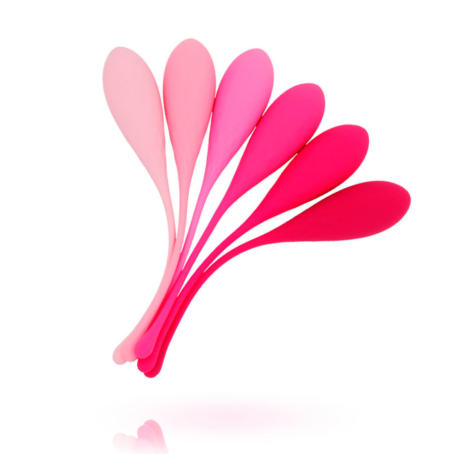 LESLIE - KIT D'EXERCICE DE MUSCLES PELVIENS KEGEL FIT 6 POIDS